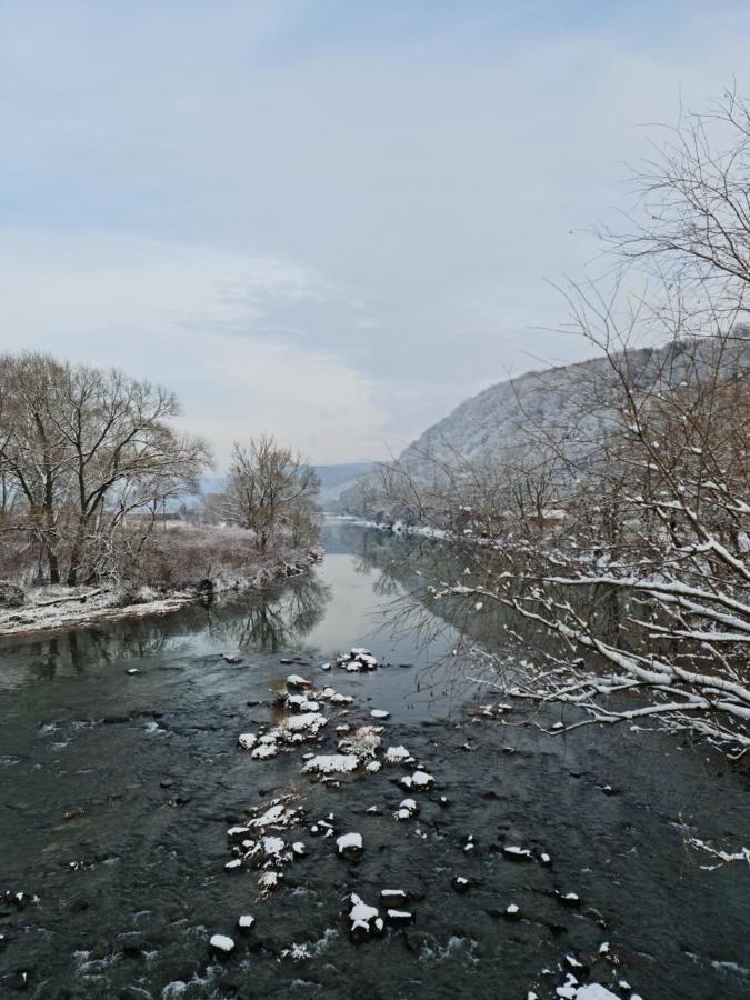 Вилла Zelena Saduba Nevitskoye  Экстерьер фото